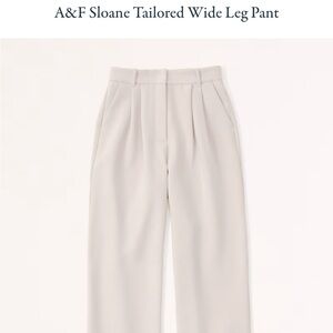 A&F Sloan tailered wide leg pants